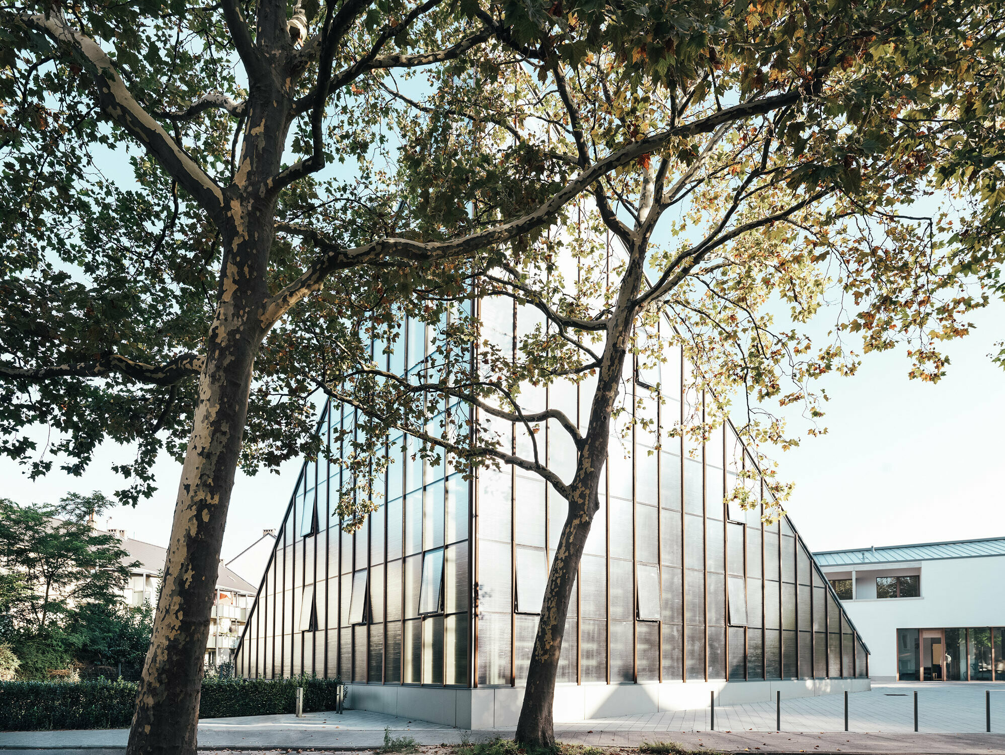 Front view of St. Stephen's Church with trees in the foreground. Here the glass façade is expressed