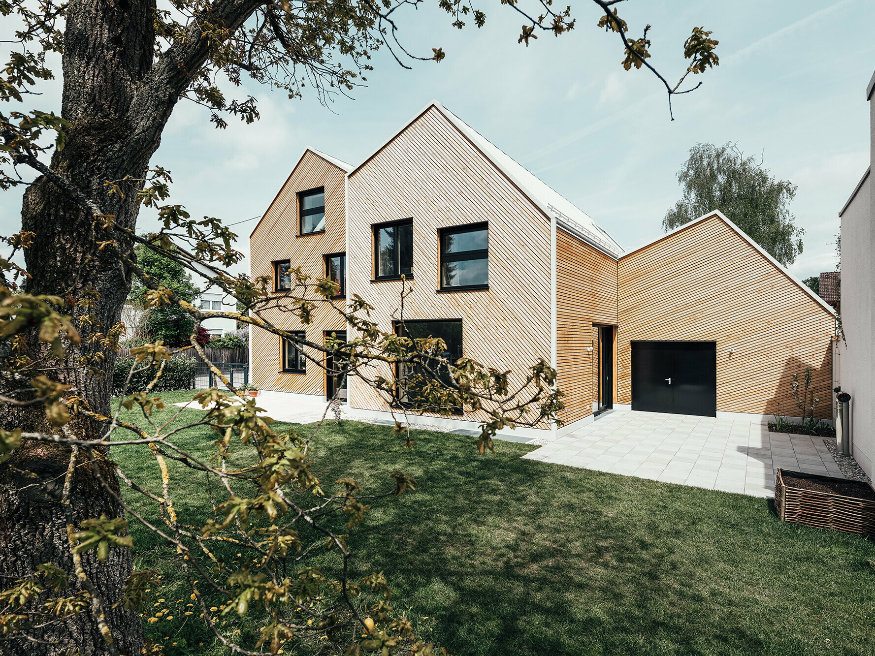 Lateral view of the semi-detached house, framed by a tree, green lawn, wooden façade, irregular aluminium roofscape.