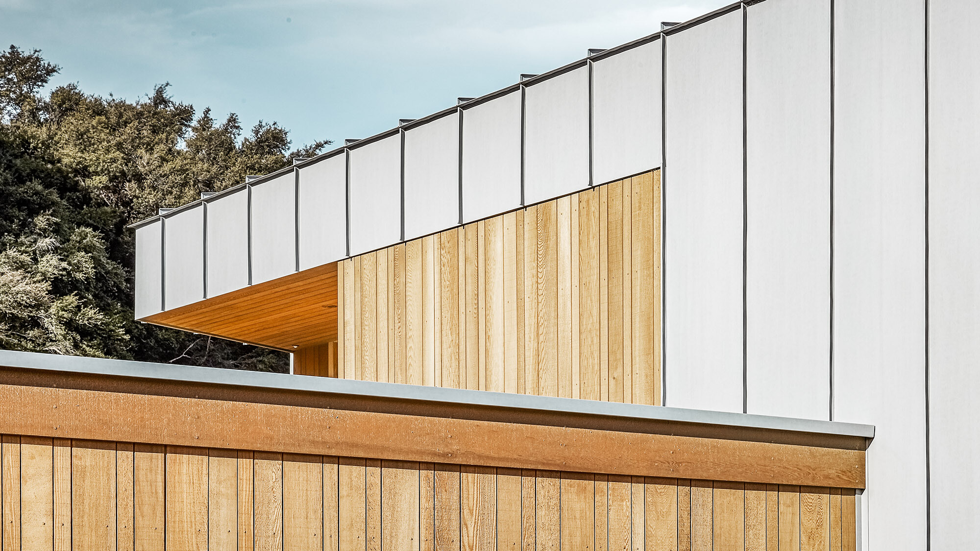 A shot of the building's evenly matt Prefalz envelope and timber elements, the bush forest partially visible behind it.