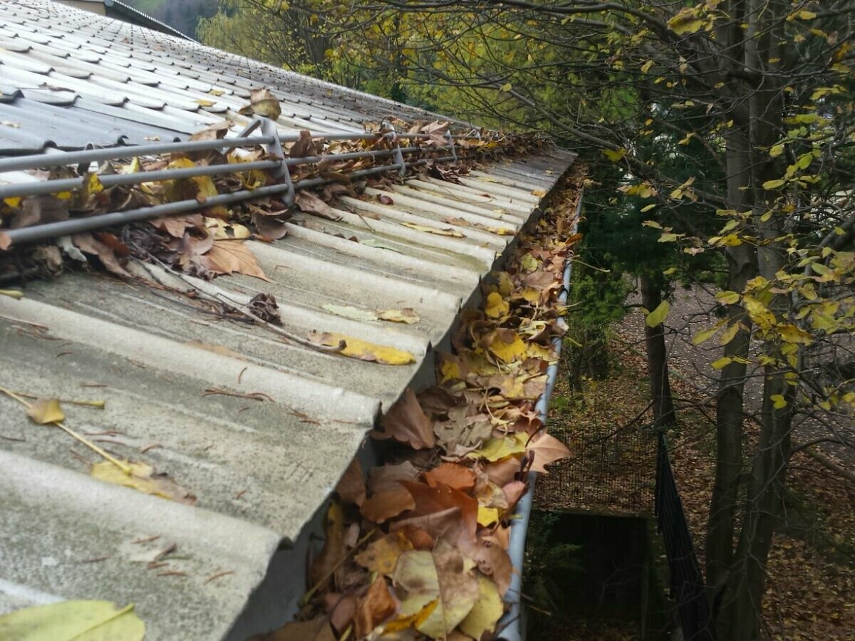 Gutter with a lot of autumn leaves, clean clogged gutters