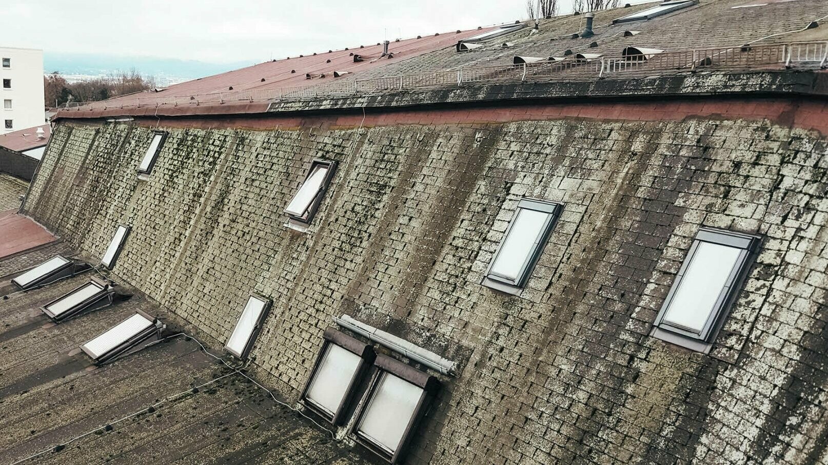 [Translate to english:] The old roof with thick bitumen shingles. The picture also shows the various skylights.