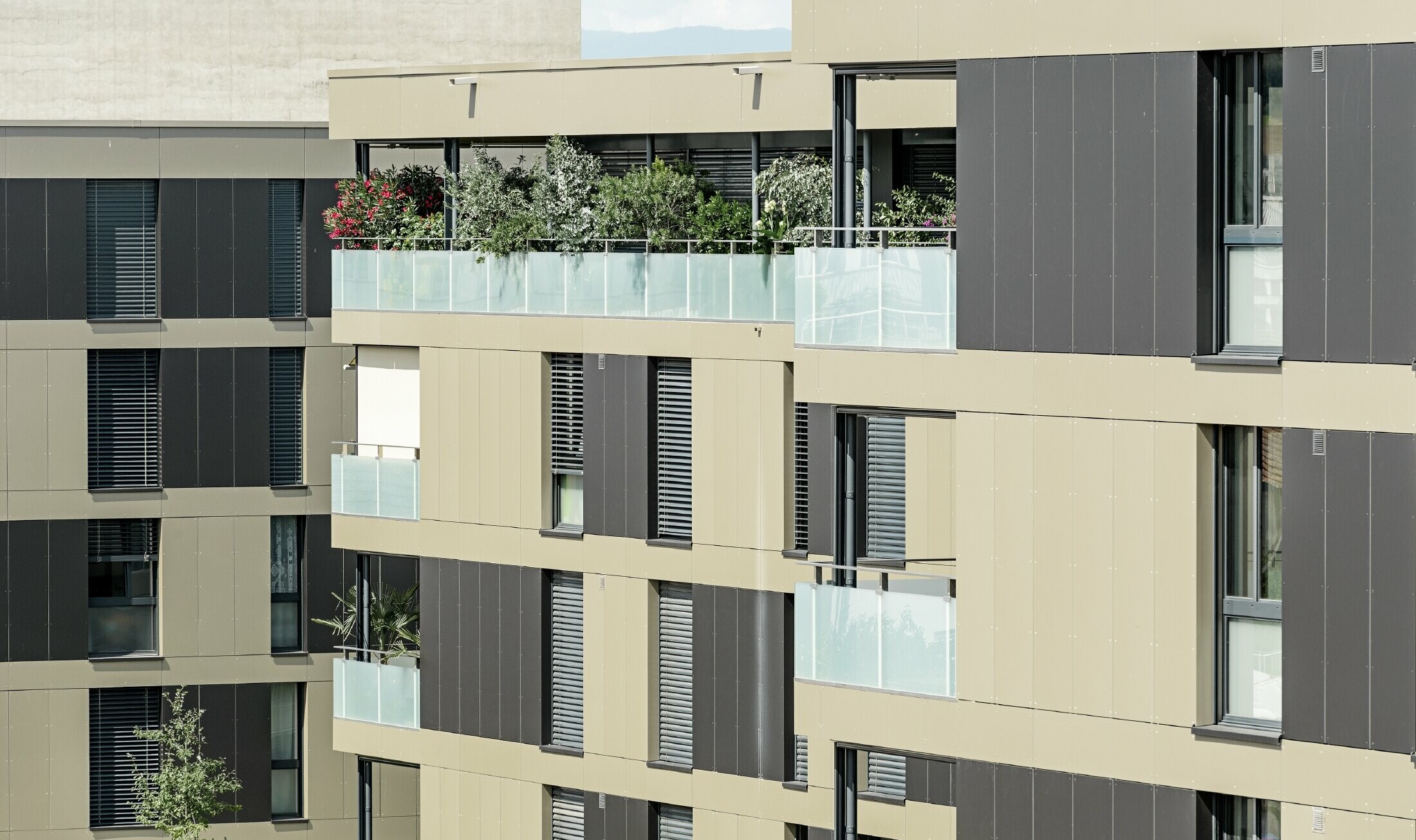 Cubic residential complex with an aluminium façade in bronze with black grey components