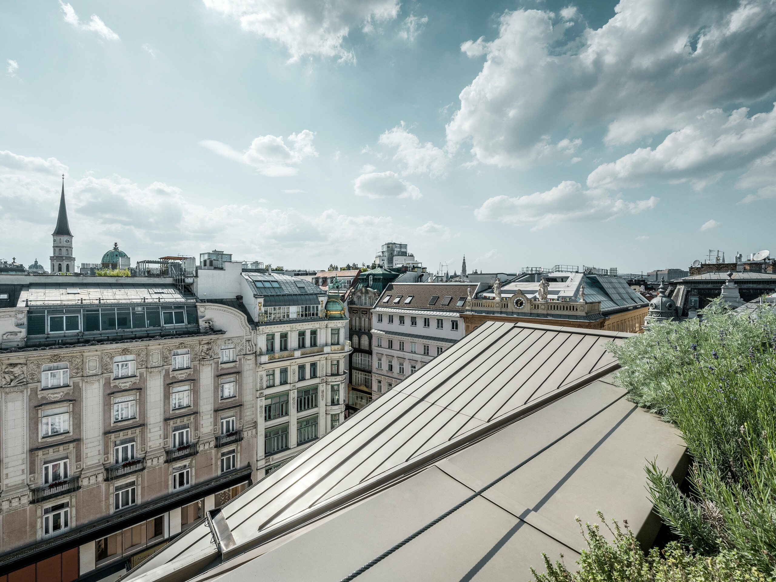 A sweeping view of the roofs of Vienna, in the right of the picture Prefalz sheets, right next to them greenery.