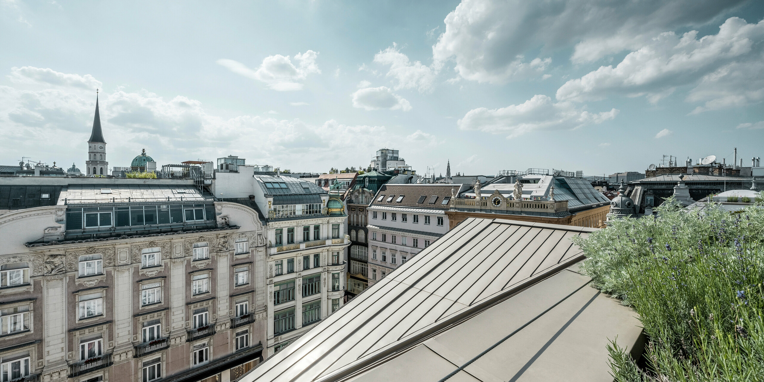 A sweeping view of the roofs of Vienna, in the right of the picture Prefalz sheets, right next to them greenery.