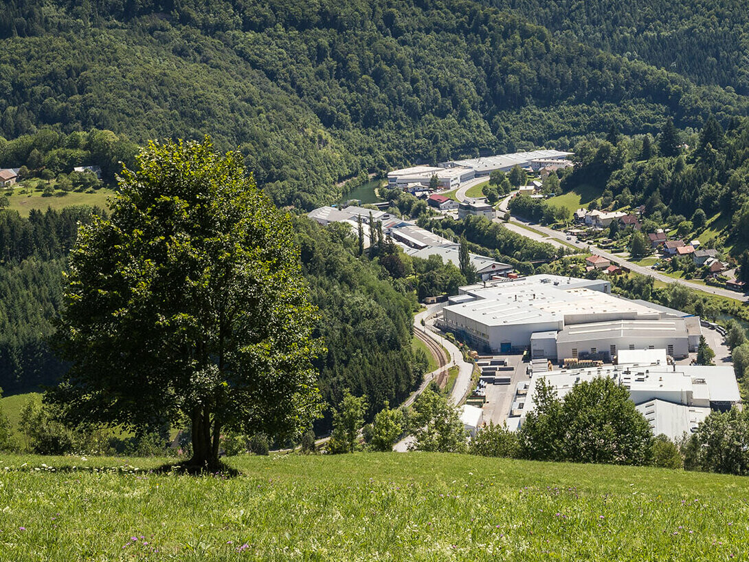 Image of the PREFA factory in Marktl from one of the surrounding hills, with a tree in a green meadow in the foreground and the large forests of Lilienfeld in the background