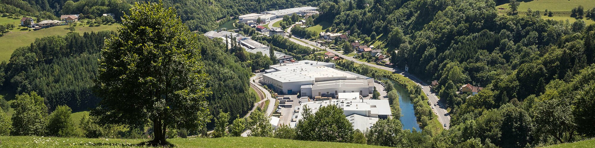 Image of the PREFA factory in Marktl from one of the surrounding hills, with a tree in a green meadow in the foreground and the large forests of Lilienfeld in the background