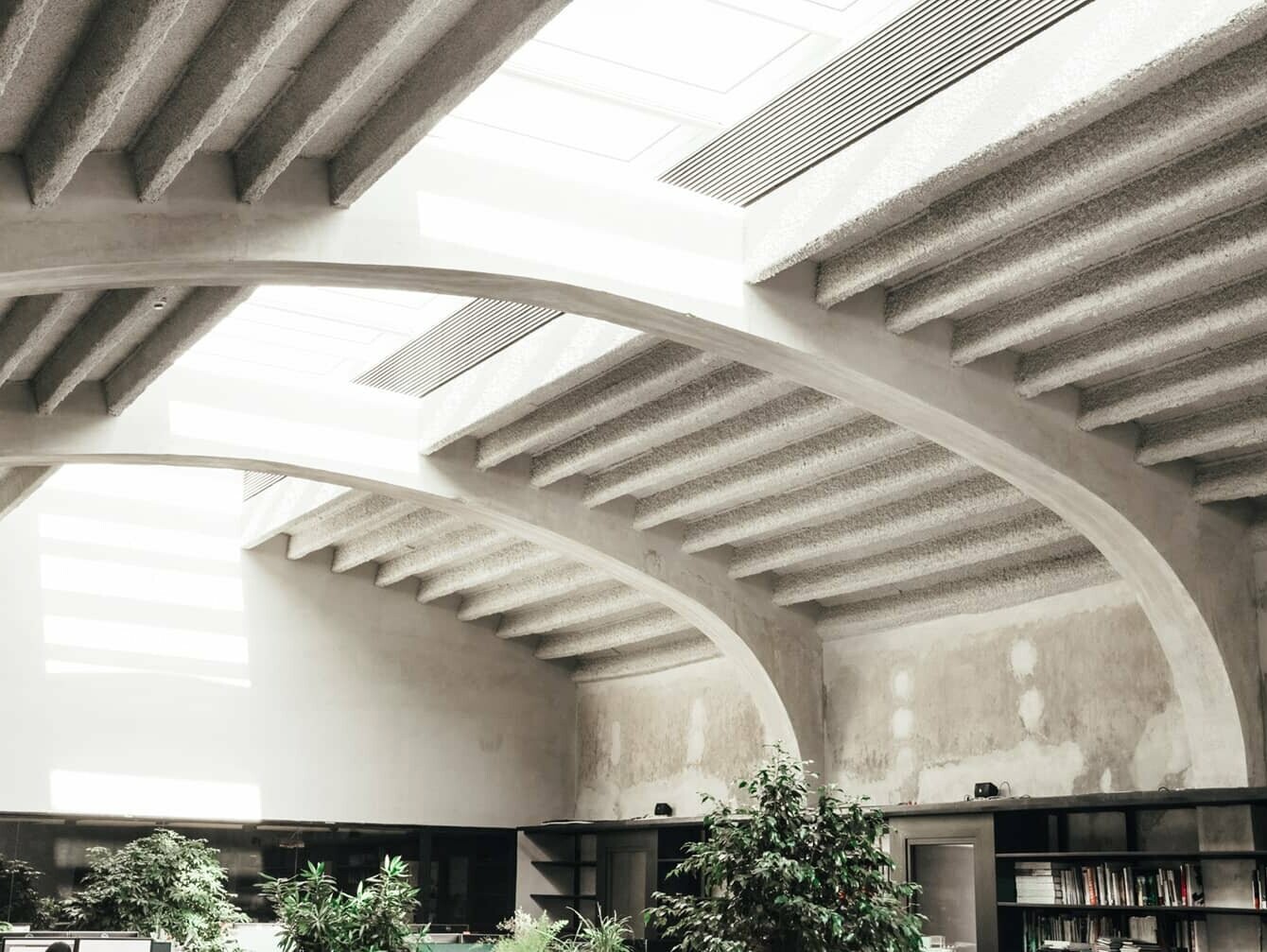 View of the ceiling with white struts. The sun is shining through the windows.