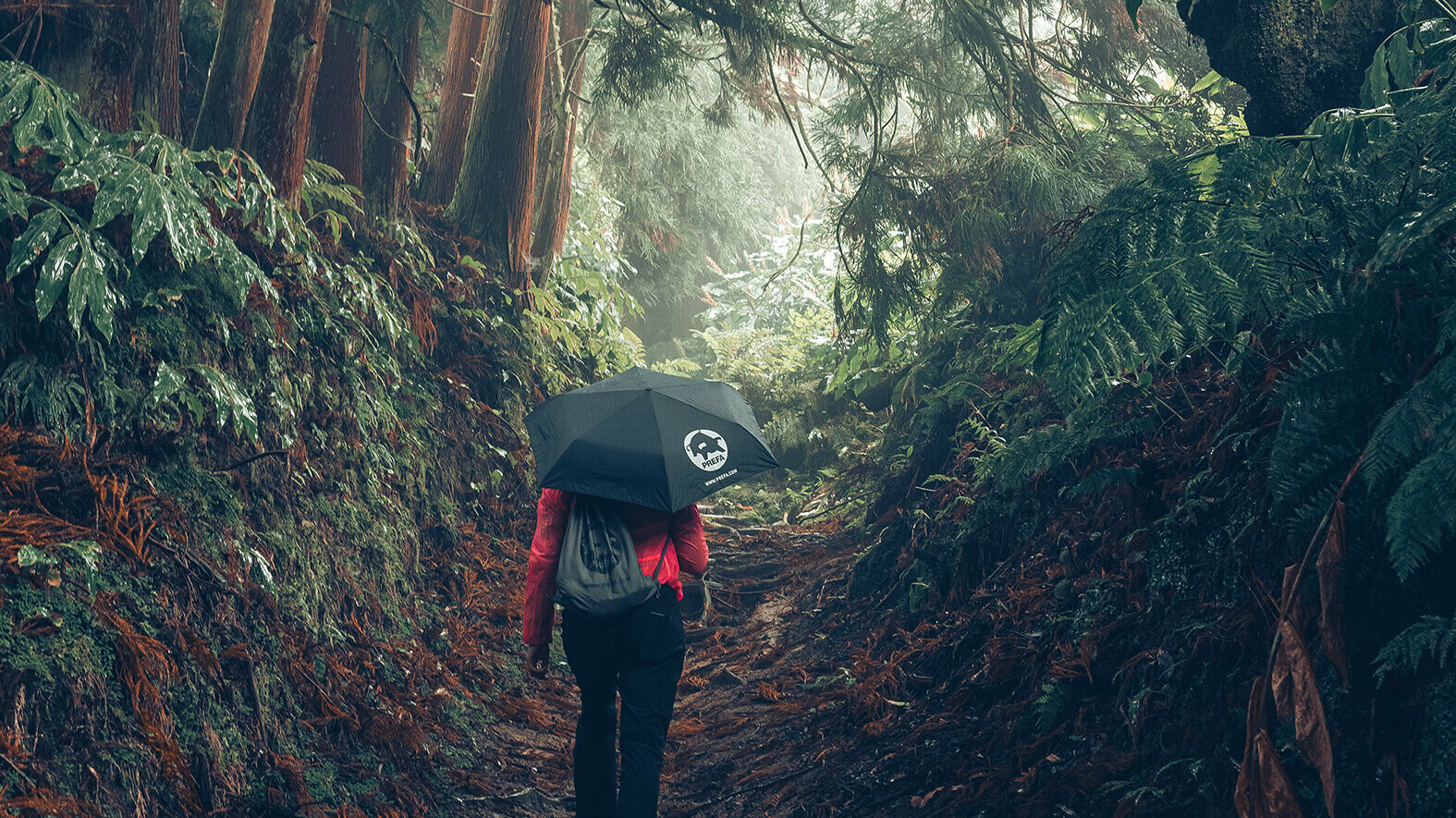 Image of a forest with a female hiker in a red jacket with a PREFA umbrella and gym bag, symbolises PREFA’s environmental protection and sustainability, as well as the closed-loop economy and recycling