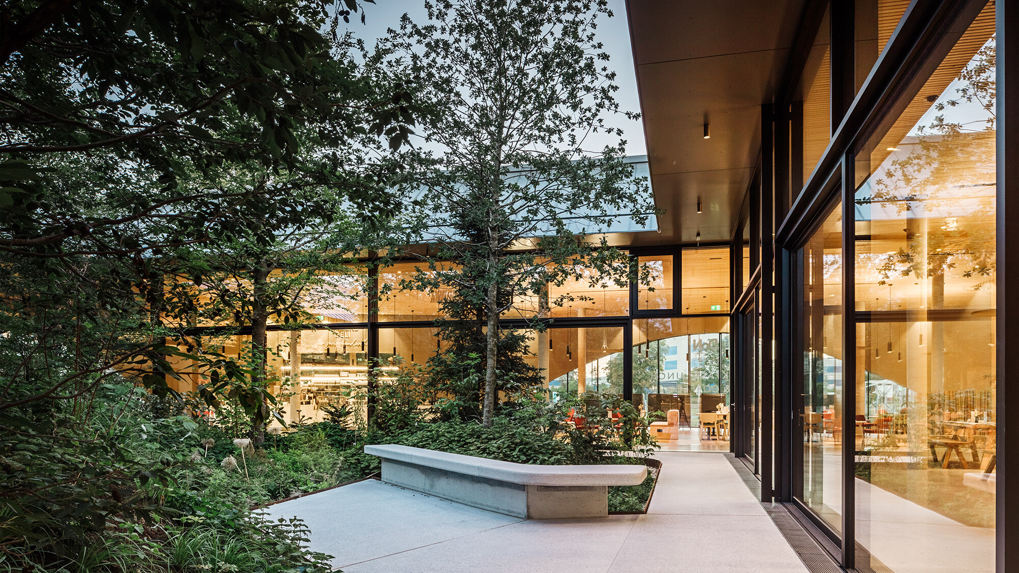 Part of the mixed forest in the atrium located in the building's centre.