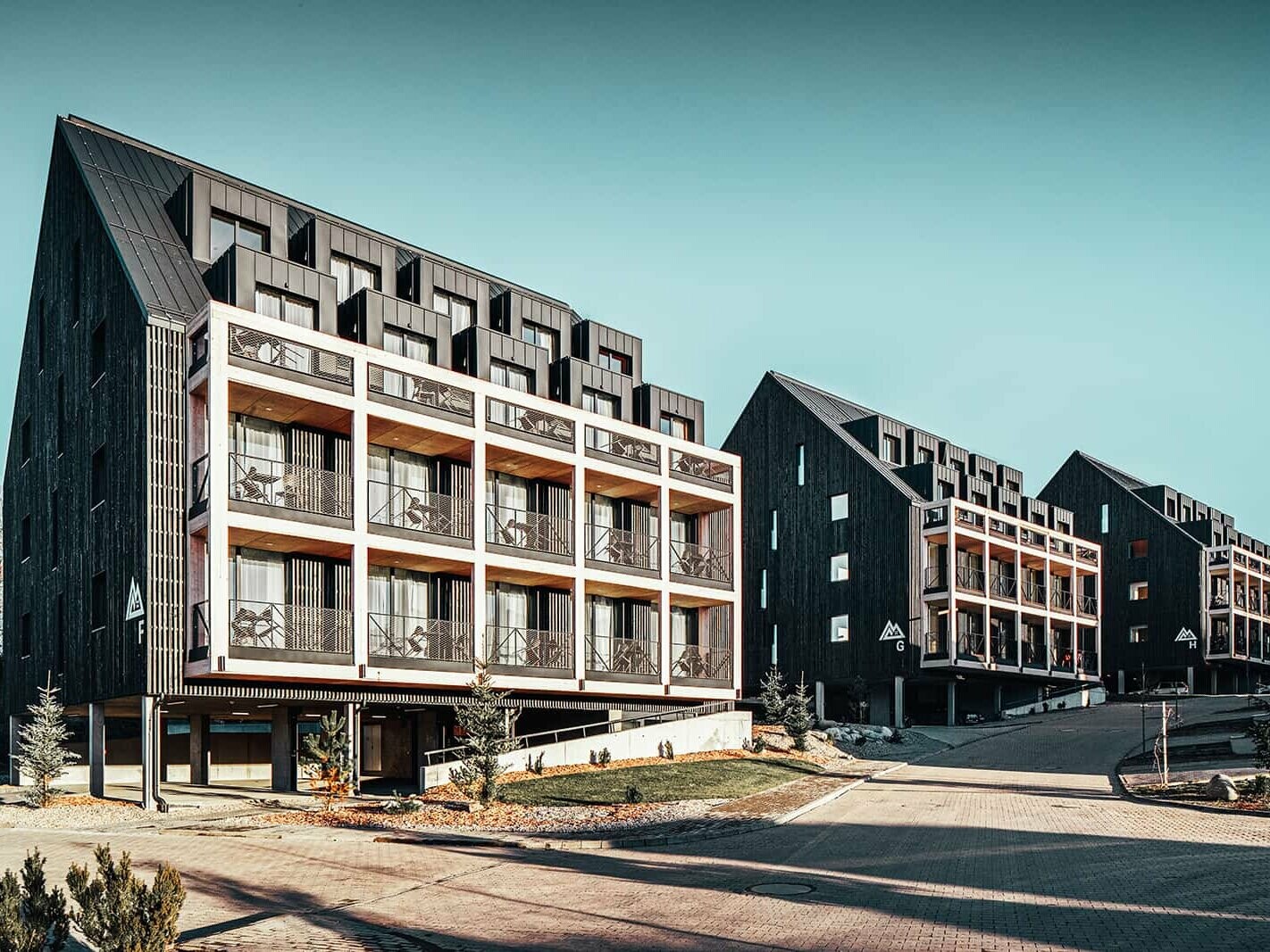 The picture shows the perfect complement of aluminium and wood at the newly built Demänova Resort in the sunshine.  Prefalz was used in the colour anthracite. 